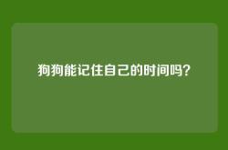 狗狗能记住自己的时间吗？