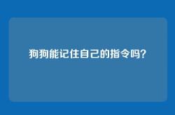 狗狗能记住自己的指令吗？