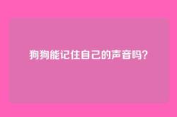 狗狗能记住自己的声音吗？