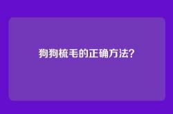 狗狗梳毛的正确方法？