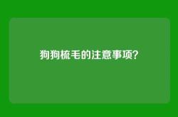 狗狗梳毛的注意事项？