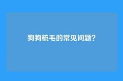 狗狗梳毛的常见问题？