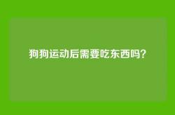 狗狗运动后需要吃东西吗？