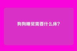 狗狗睡觉需要什么床？