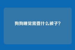 狗狗睡觉需要什么被子？