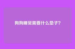 狗狗睡觉需要什么垫子？