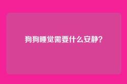 狗狗睡觉需要什么安静？