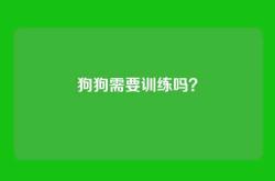 狗狗需要训练吗？