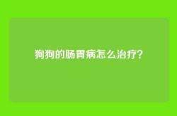 狗狗的肠胃病怎么治疗？
