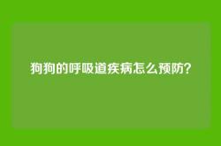 狗狗的呼吸道疾病怎么预防？