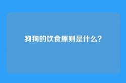 狗狗的饮食原则是什么？