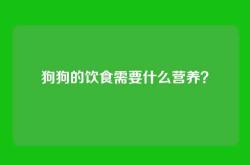 狗狗的饮食需要什么营养？