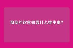 狗狗的饮食需要什么维生素？
