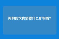 狗狗的饮食需要什么矿物质？