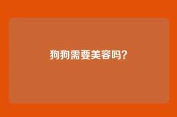 狗狗需要美容吗？