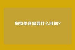 狗狗美容需要什么时间？