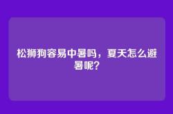松狮狗容易中暑吗，夏天怎么避暑呢？
