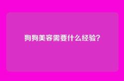 狗狗美容需要什么经验？