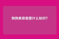 狗狗美容需要什么知识？