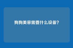 狗狗美容需要什么设备？