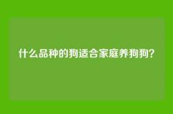 什么品种的狗适合家庭养狗狗？