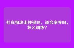 杜宾狗攻击性强吗，适合家养吗，怎么训练？