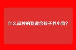什么品种的狗适合孩子养小狗？