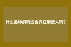 什么品种的狗适合养在别墅大狗？