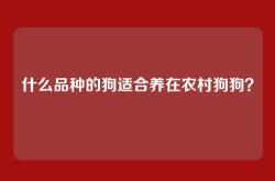 什么品种的狗适合养在农村狗狗？