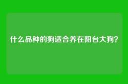 什么品种的狗适合养在阳台大狗？
