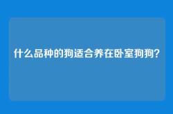 什么品种的狗适合养在卧室狗狗？