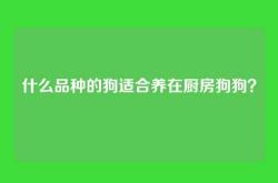 什么品种的狗适合养在厨房狗狗？