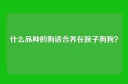 什么品种的狗适合养在院子狗狗？