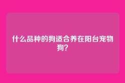 什么品种的狗适合养在阳台宠物狗？