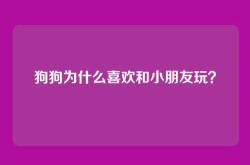 狗狗为什么喜欢和小朋友玩？