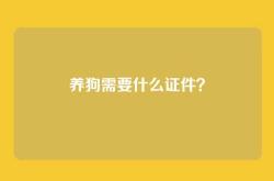 养狗需要什么证件？
