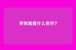 养狗需要什么条件？