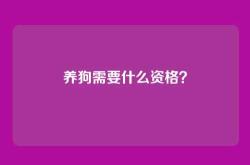 养狗需要什么资格？
