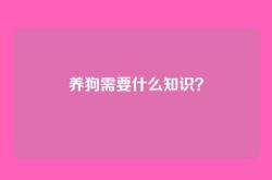 养狗需要什么知识？