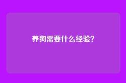养狗需要什么经验？