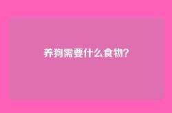 养狗需要什么食物？