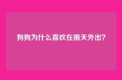 狗狗为什么喜欢在雨天外出？