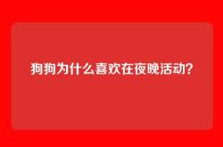 狗狗为什么喜欢在夜晚活动？