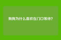 狗狗为什么喜欢在门口等待？