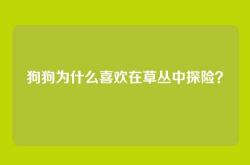 狗狗为什么喜欢在草丛中探险？