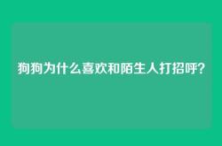 狗狗为什么喜欢和陌生人打招呼？