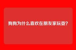 狗狗为什么喜欢在朋友家玩耍？