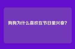 狗狗为什么喜欢在节日里兴奋？