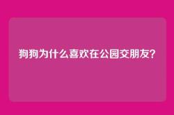 狗狗为什么喜欢在公园交朋友？