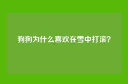 狗狗为什么喜欢在雪中打滚？